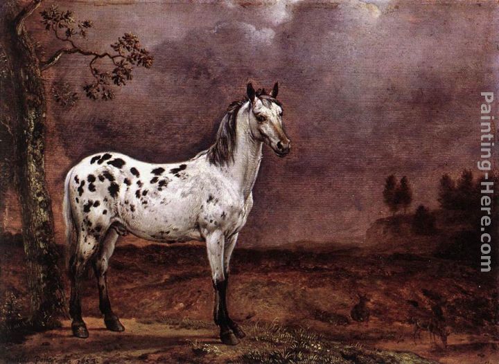The Spotted Horse painting - Paulus Potter The Spotted Horse art painting